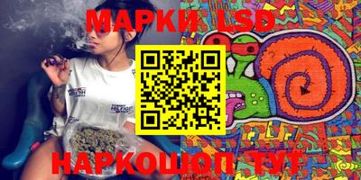 индика Заволжье