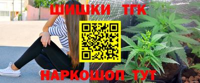 индика Заволжье