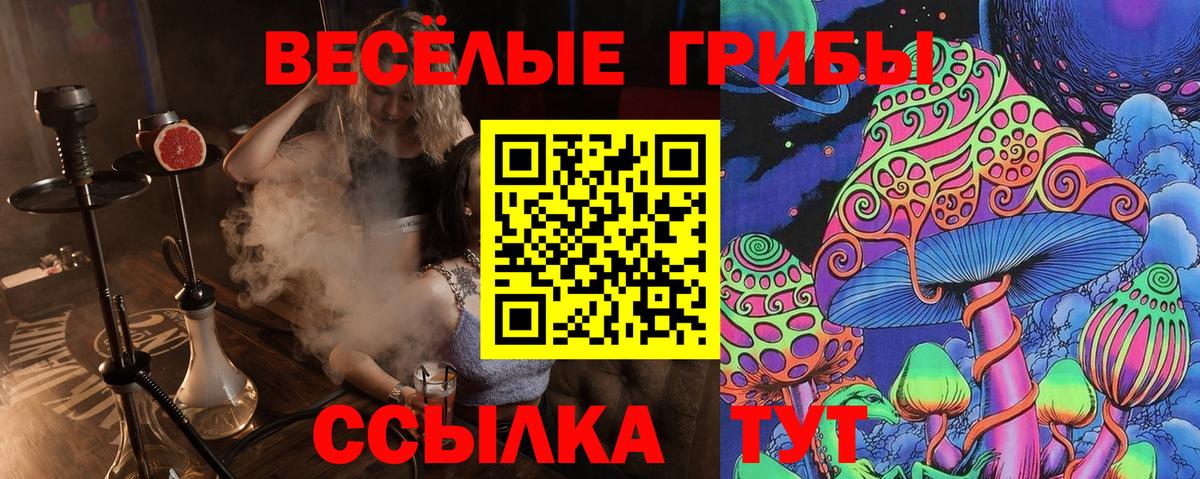 Псилоцибиновые грибы MAGIC MUSHROOMS  Вход с VPN  Евпатория 