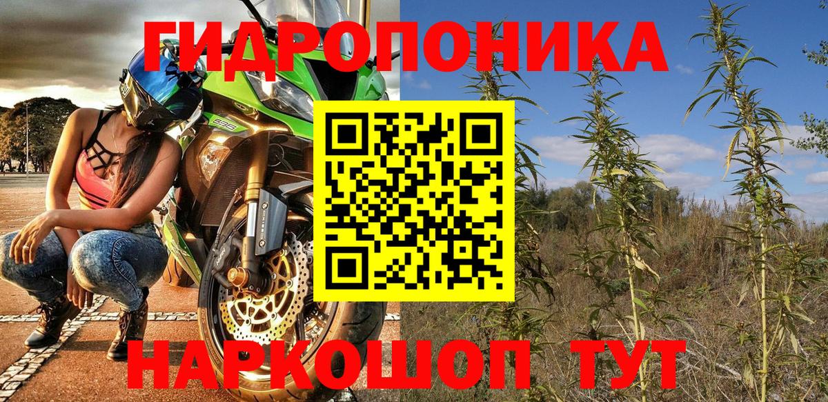 Шишки марихуана Bruce Banner  Вход с VPN  Каннабис планчик  Бошки Шишки индика  Евпатория 